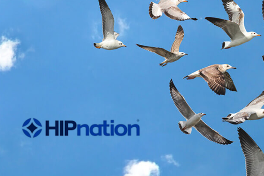 HIPnation is a Great Option for Small-Business Healthcare